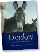 donkey